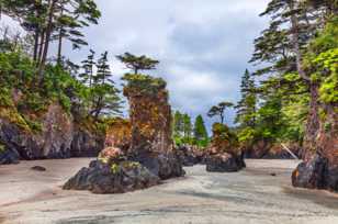 St. Josef Bay, Cape Scott-7770.jpg St. Josef Bay, Cape Scott-7770.jpg